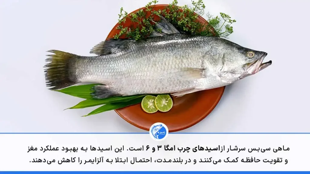 این تصویر ماهی سیبس استرالیایی را نشان میدهد و در متن آن به امگا سه موجود در این ماهی و خواص آن برای مغز اشاره شده است.
