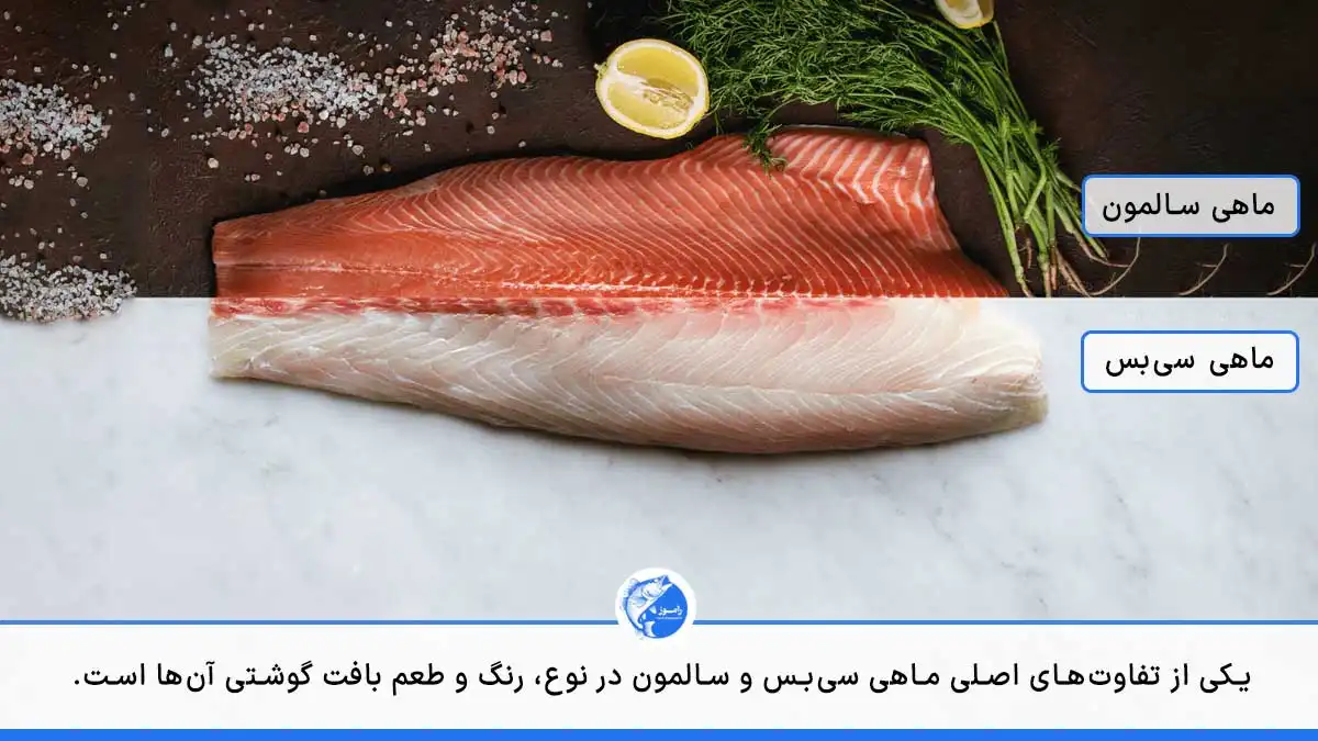 در این تصویر بافت گوشتی ماهی سیبس با ماهی سالمون با هم مقایسه شدهاند.