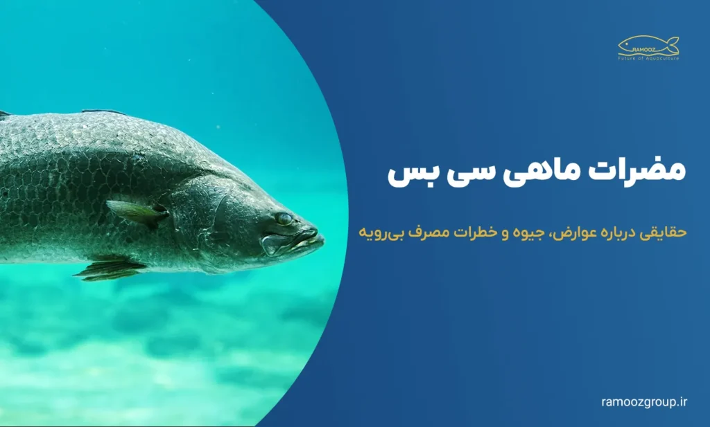 مضرات ماهی سی بس؛ حقایقی درباره عوارض، جیوه و خطرات مصرف بیرویه