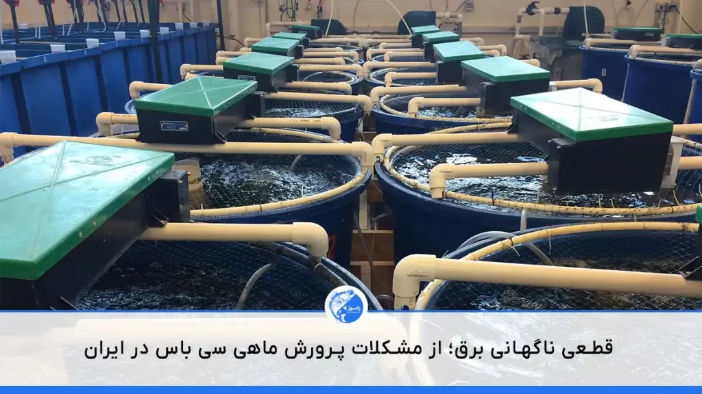 تصویری از سیستمهای مداربسته پرورش ماهی باراموندی