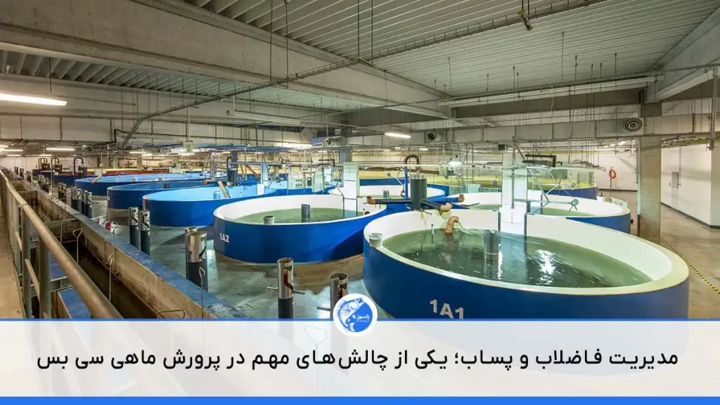 تصویری از مخازن سیستم مدار بسته در مورد چالش های پرورش ماهی سی بس
