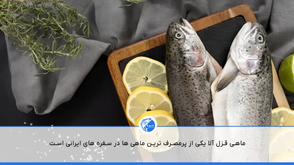 ماهی قزل آلا پرمصرف ترین ماهی در ایران