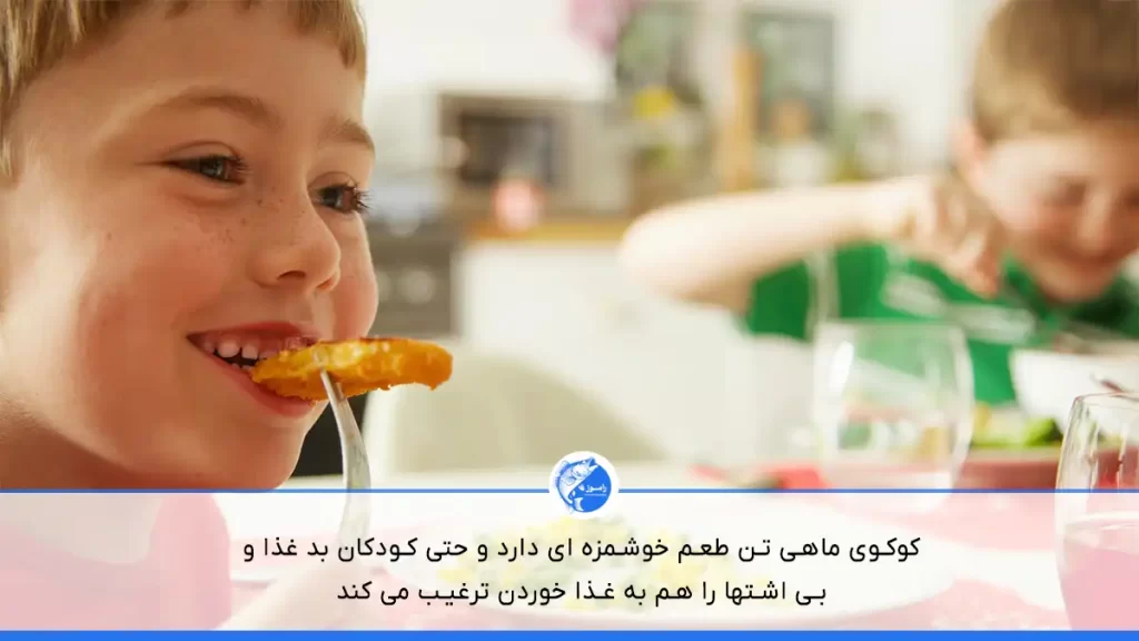 کوکوی ماهی تن برای کودکان