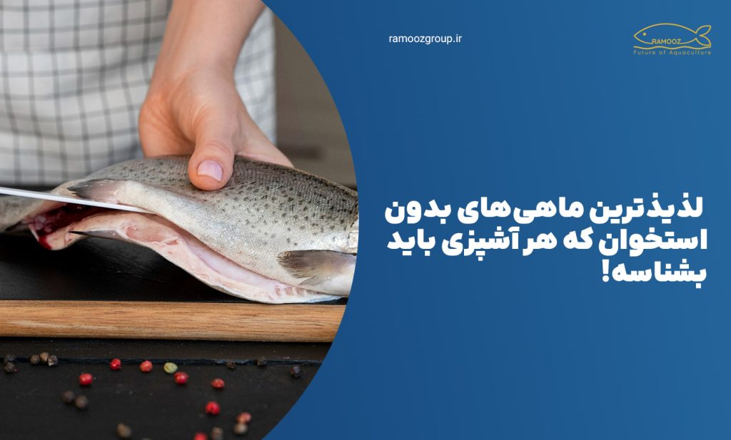 لذیذترین ماهیهای بدون استخوان