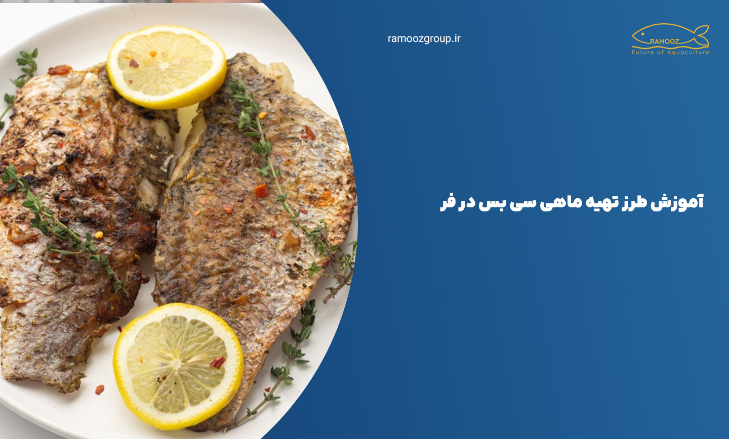 طرز تهیه ماهی سی بس در فر
