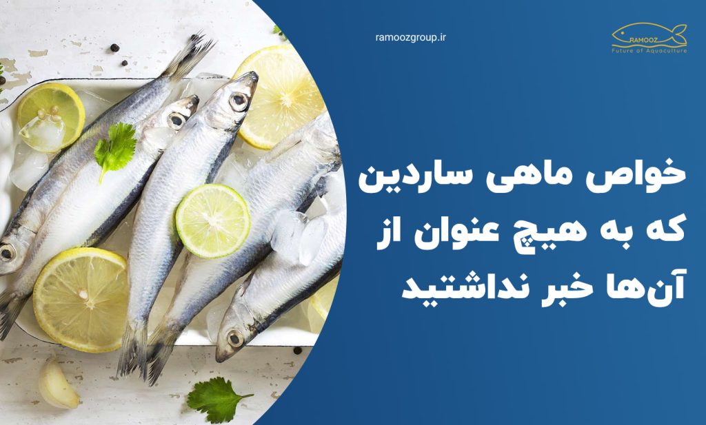 خواص ماهی ساردین