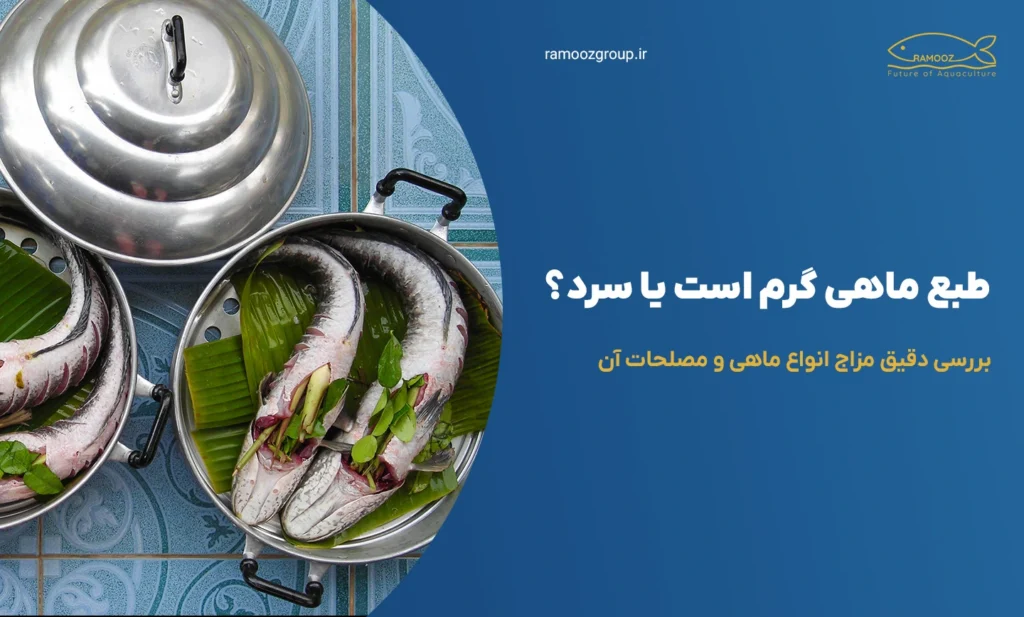 طبع ماهی گرم است یا سرد