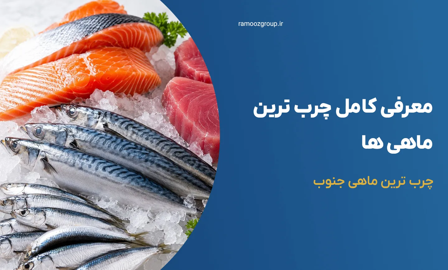 معرفی کامل چرب ترین ماهی ها + چرب ترین ماهی جنوب