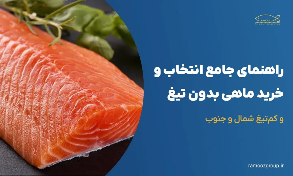 راهنمای جامع انتخاب و خرید ماهی بدون تیغ و کمتیغ شمال و جنوب