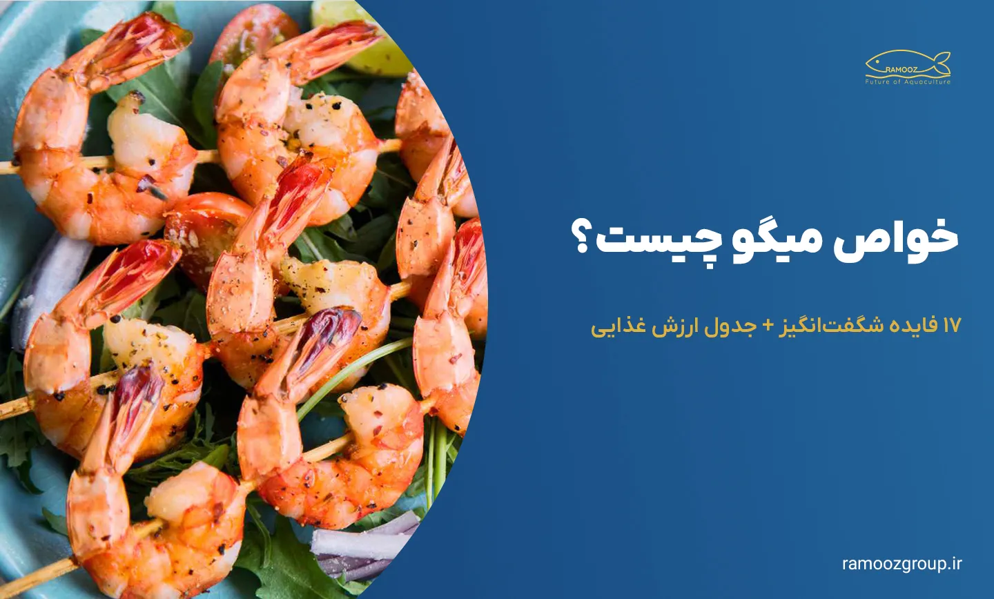خواص میگو چیست؟ ۱۷ فایده شگفتانگیز + جدول ارزش غذایی