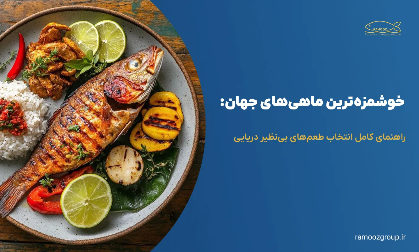 خوشمزهترین ماهیهای جهان: راهنمای کامل انتخاب طعمهای بینظیر دریایی
