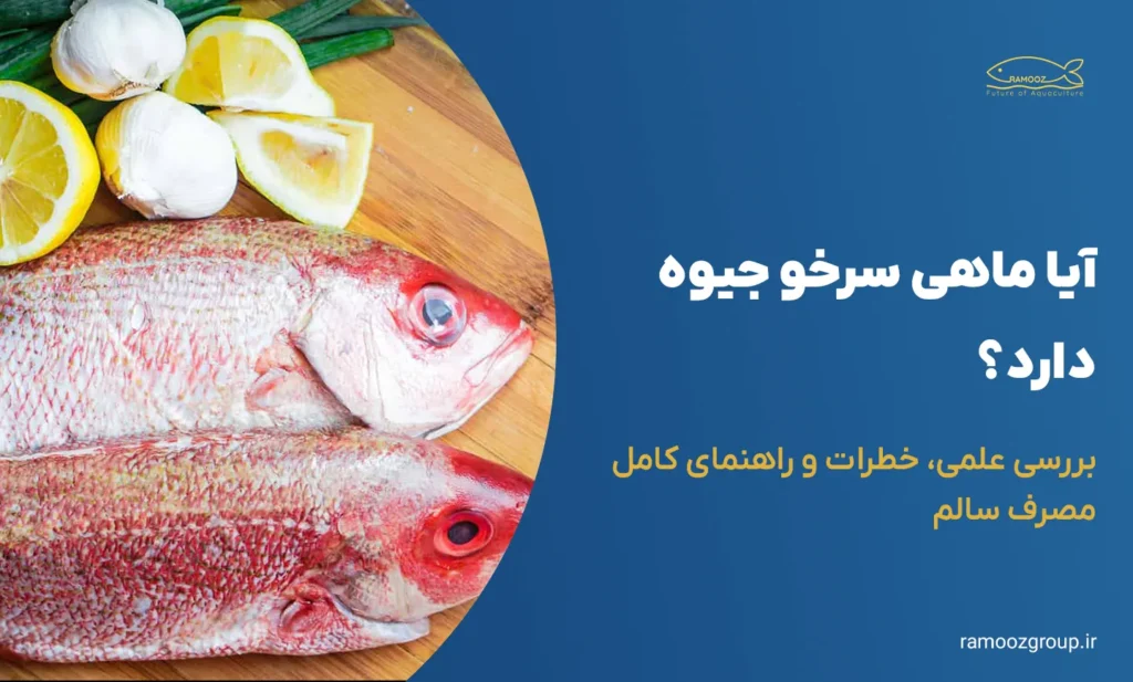 آیا ماهی سرخو جیوه دارد؟