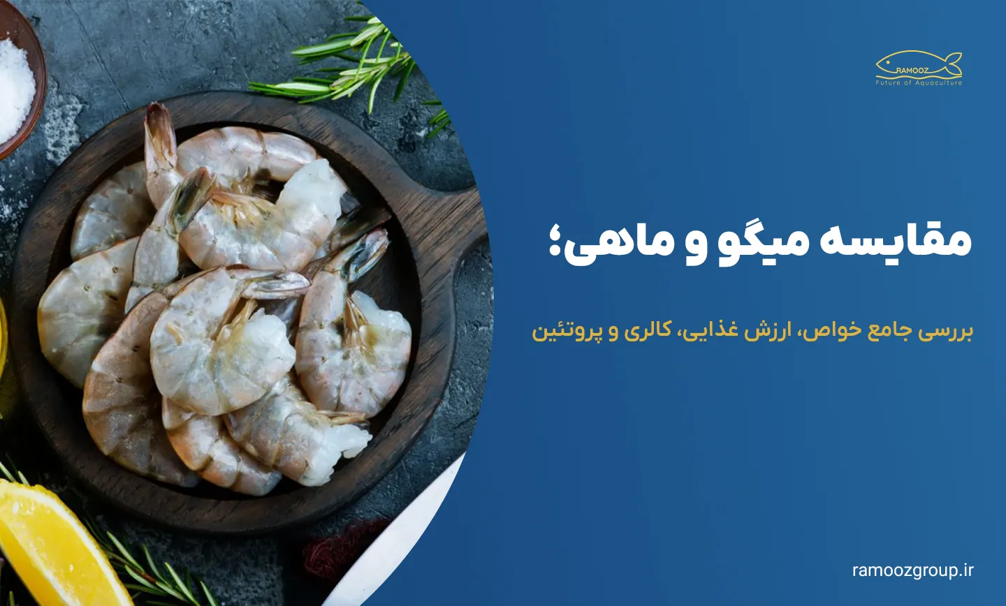 مقایسه میگو و ماهی؛ بررسی جامع خواص، ارزش غذایی، کالری و پروتئین