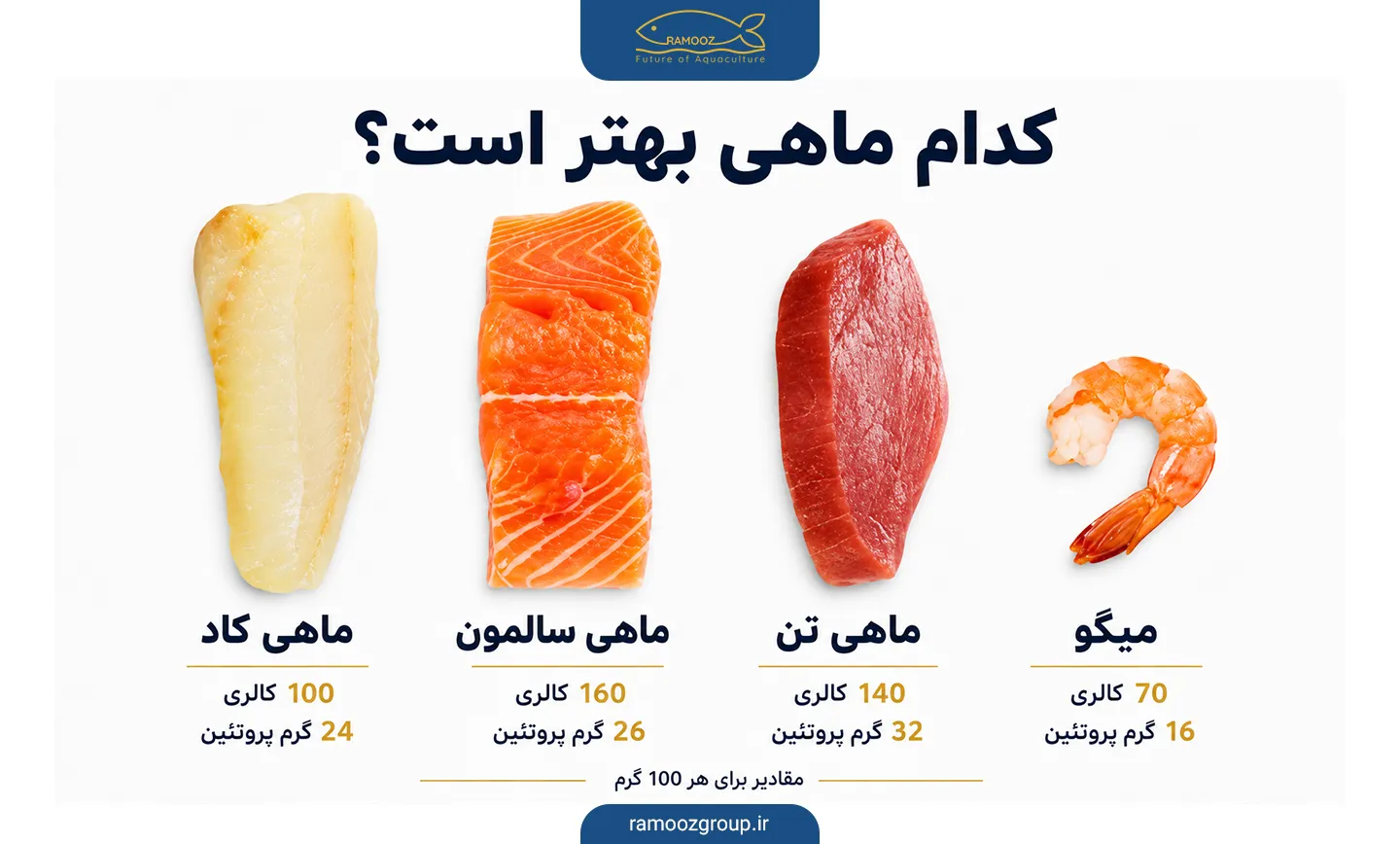 میزان کالری میگو و ماهی
