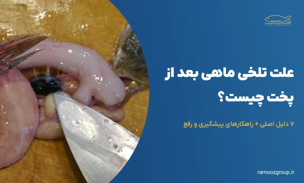 علت تلخی ماهی بعد از پخت چیست؟