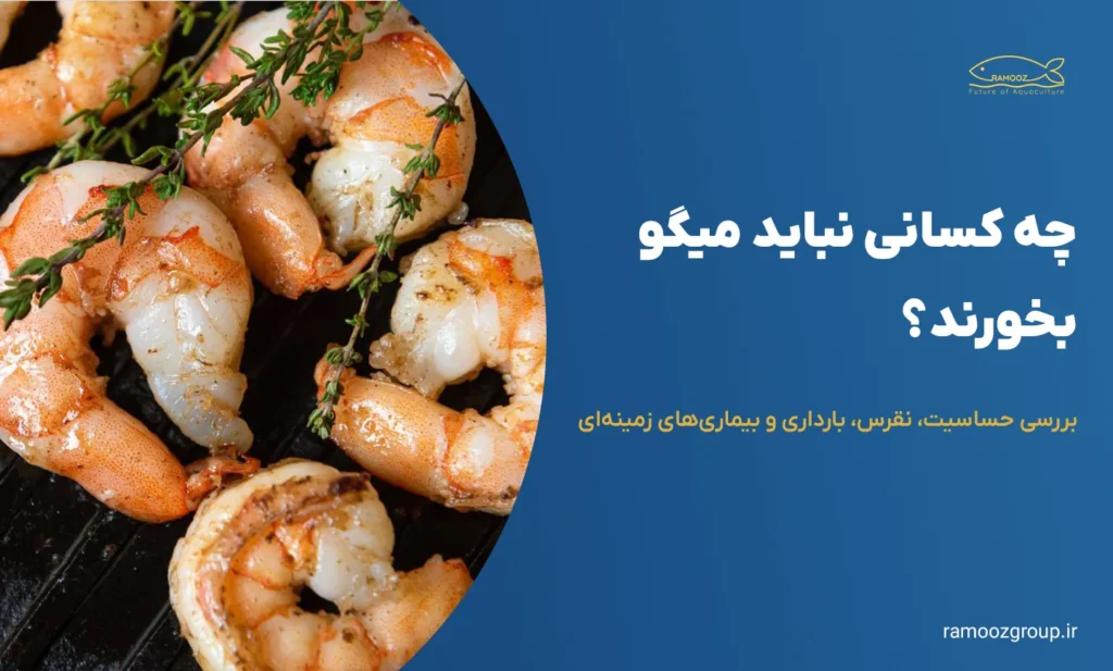 چه کسانی نباید میگو بخورند؟ بررسی حساسیت، نقرس، بارداری و بیماریهای زمینهای