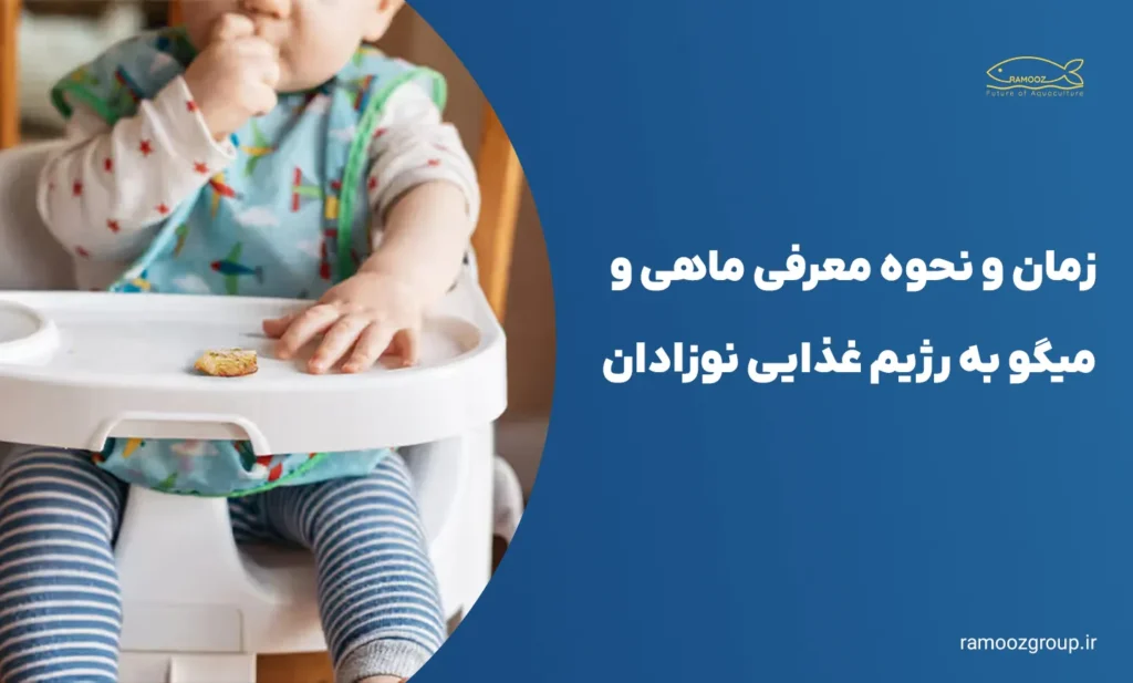 میگو و ماهی از چند ماهگی به نوزاد بدهیم
