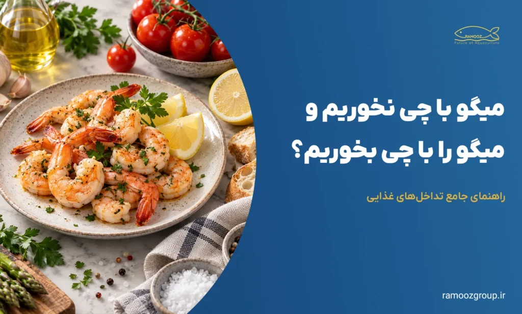 میگو با چی نخوریم و میگو را با چی بخوریم؟ راهنمای جامع تداخل‌های غذایی